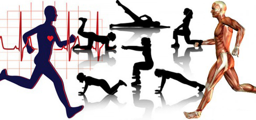 Benefits Of Aerobic Exercise Png (520x245), Png Download