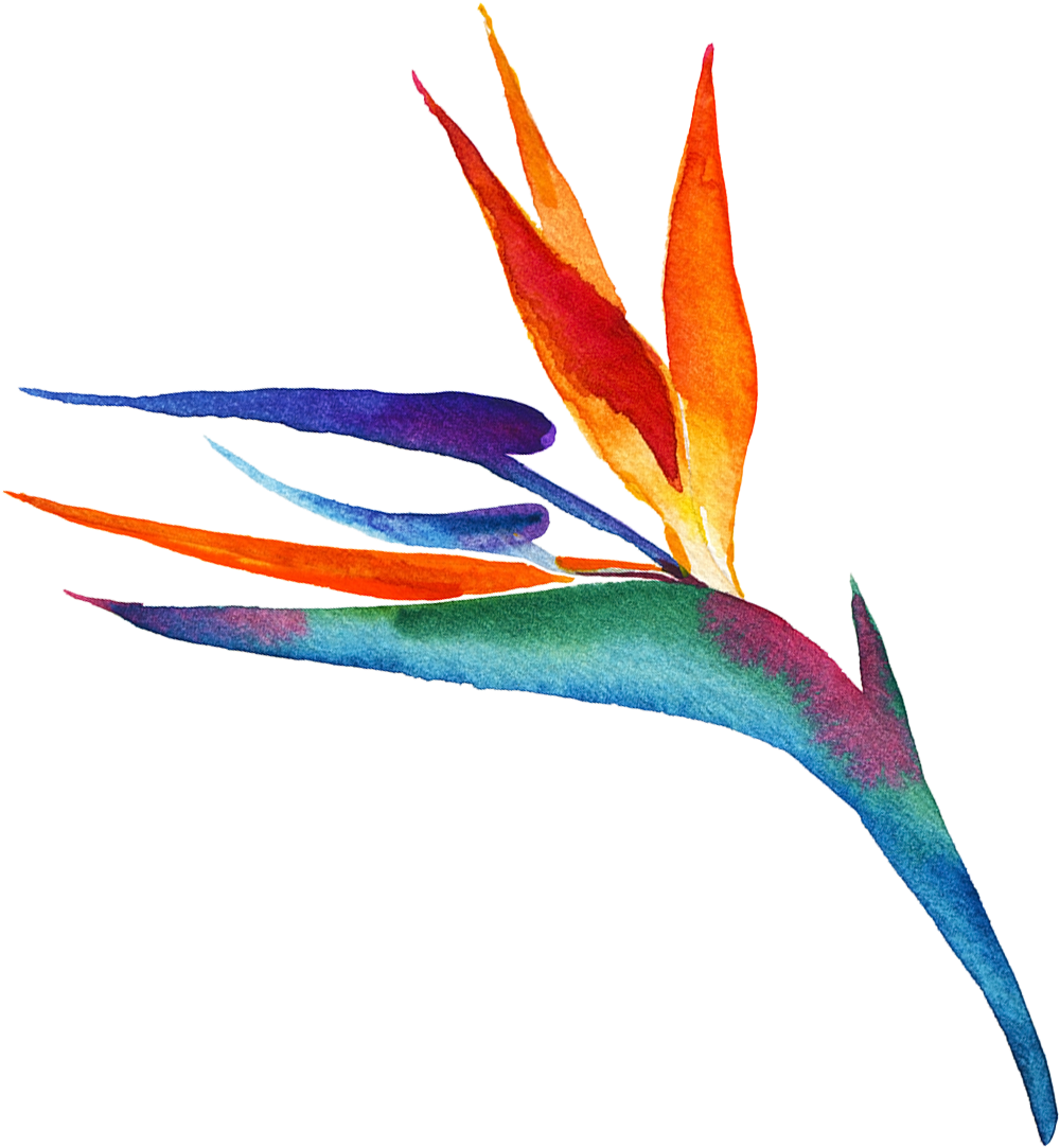 Paradise 'swagens - Illustration (1200x1357), Png Download