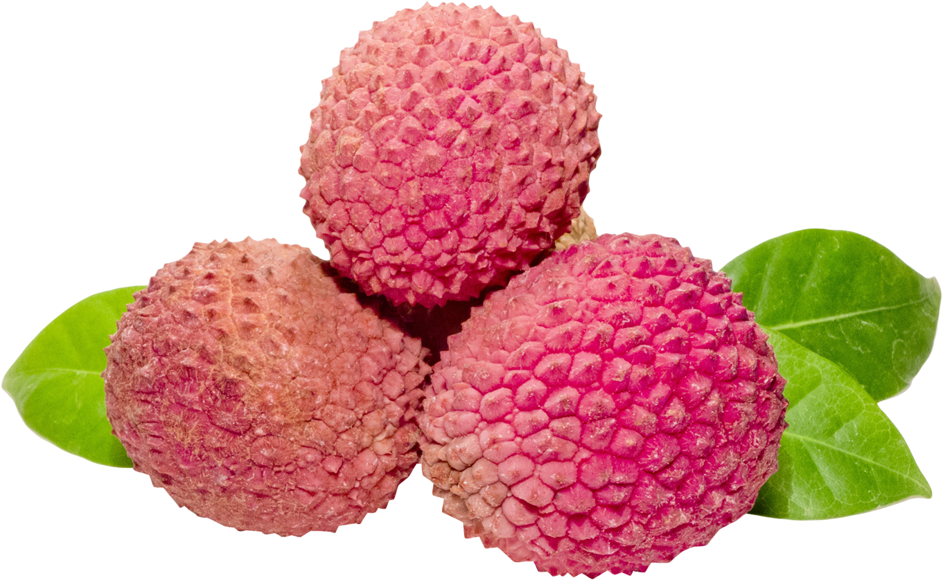 1475 X 943 - Lychee Png (1475x943), Png Download