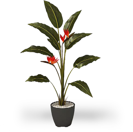 22 Pm 260756 Arbol86 8/20/2017 - 室内 植物 (459x455), Png Download