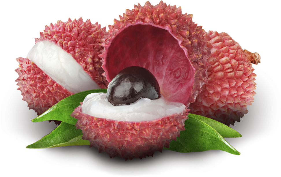 Lychee White Background Hd Photos - 10 Pcs Lychee Tree Seeds Outdoor Fruit Tree Seeds For (1000x635), Png Download