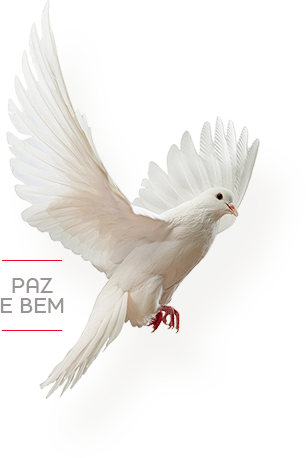 14 De Outubro De - Eid Cb Background Hd (306x458), Png Download