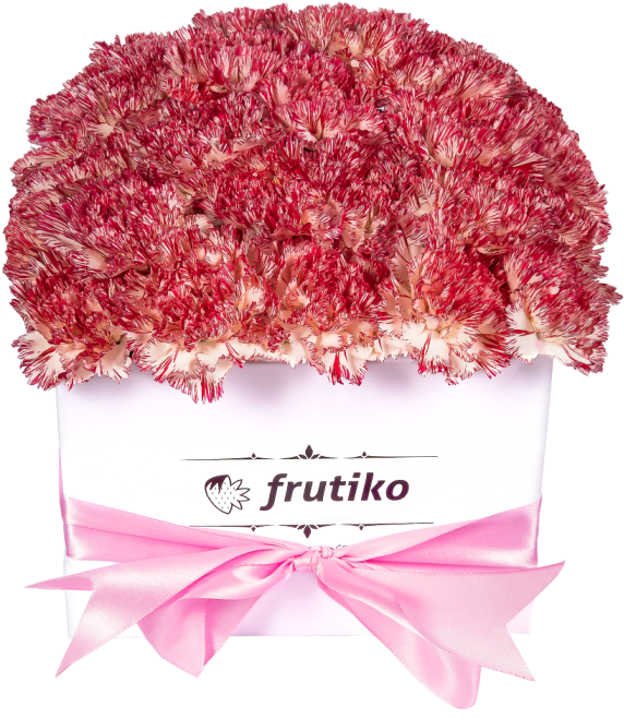White Box Of Pink Carnations - Carnation (750x800), Png Download