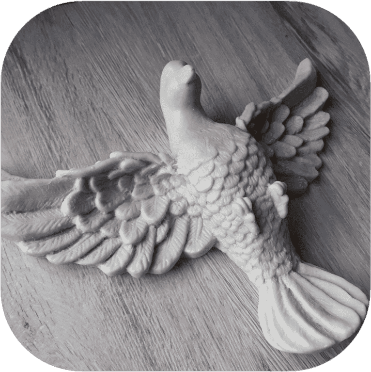 Pomba Divino Espírito Santo Em Resina 24cm - Divinity (850x850), Png Download