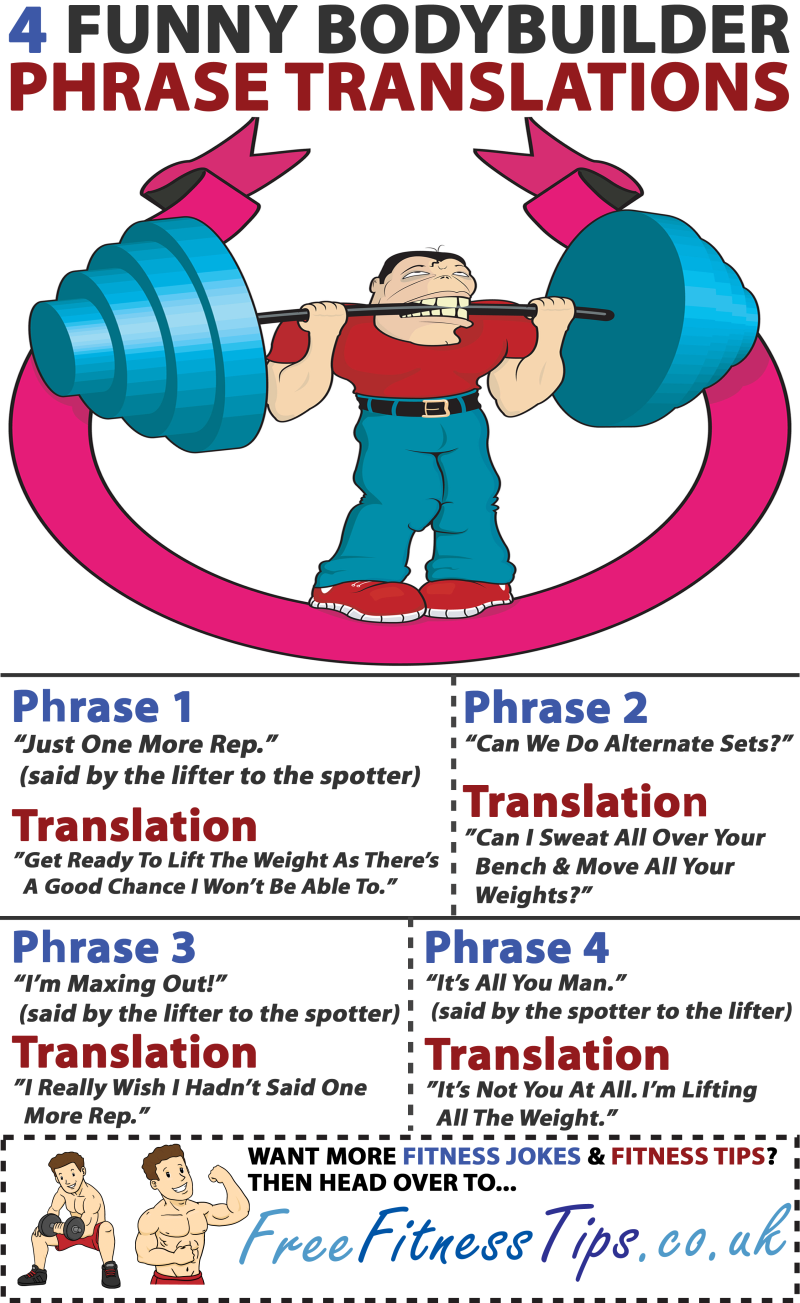 800 X 1303 800×1,303 Pixels - Bodybuilding (800x1303), Png Download