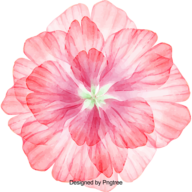 Cartoon Beautiful Hand Painted Water Color Flowers, - Lovelava 'vectorized Watercolor Ii' Canvas Gallery (640x640), Png Download
