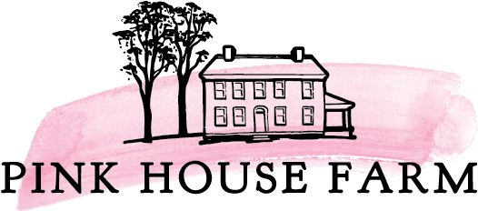 Palm Tree (600x280), Png Download