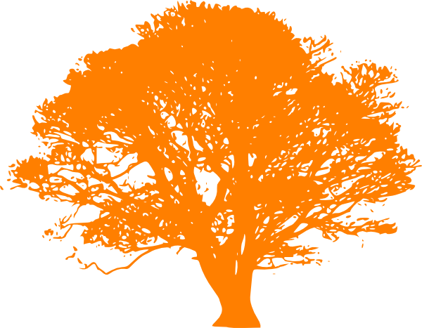 Citrus Orange Tree Clip Art - Tree Clipart Orange (600x467), Png Download