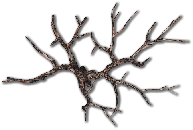Deadtree01 Kpl - Dundjinni Dead Tree (675x458), Png Download