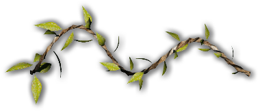 Png 06 Feb 2009 - Twig (400x300), Png Download