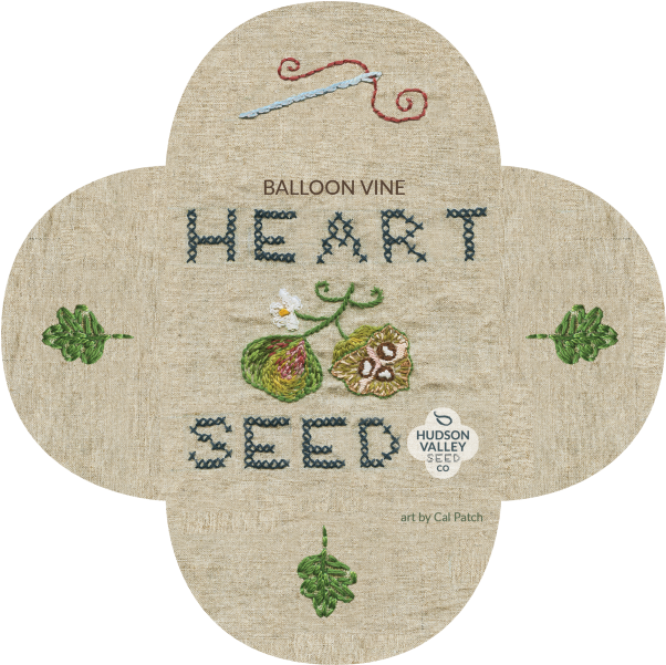 Balloon Vine (700x699), Png Download