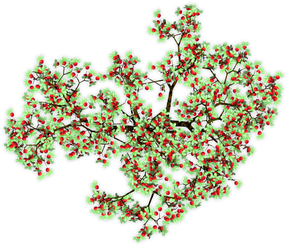 You Can Never Have Enough Vines - Flower (586x503), Png Download