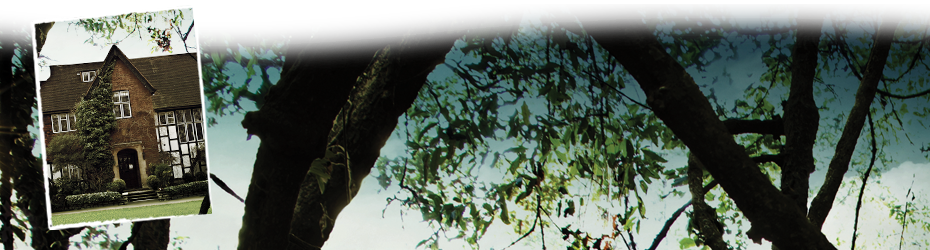 Lisa Carter Author - Vines Of Entanglement (paperback) (930x250), Png Download