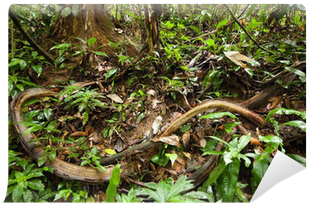 Jungle Vines (400x400), Png Download