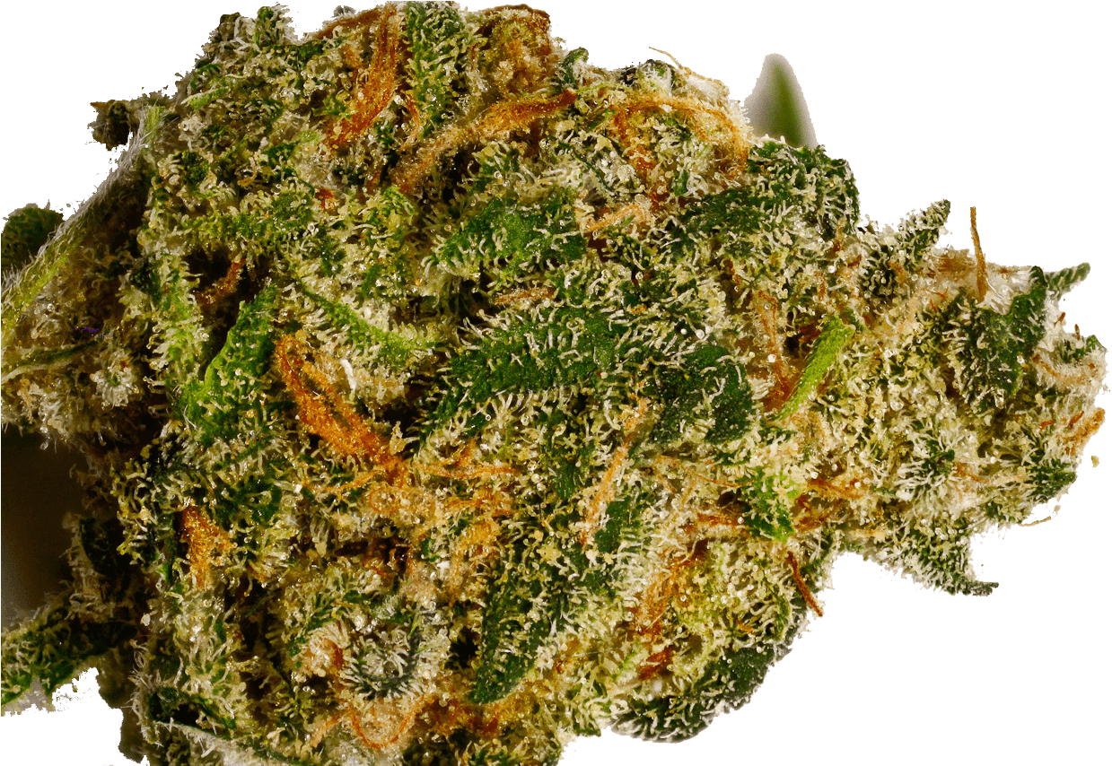 Afghan Kush - Moss (1500x1500), Png Download