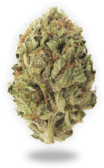 Image Of Og Kush Bud For The Green Empire Website - Og Kush Png (600x600), Png Download