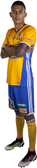 Meza Jugador De Tigres (215x575), Png Download