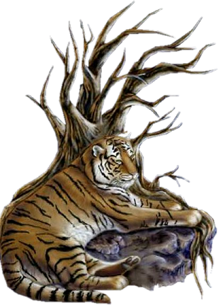 Tigres Gifs Imagenes - Tigre Gif Png Animado (308x431), Png Download