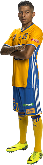 Javier Ignacio Aquino Carmona - Javier Aquino Tigres Png (215x575), Png Download