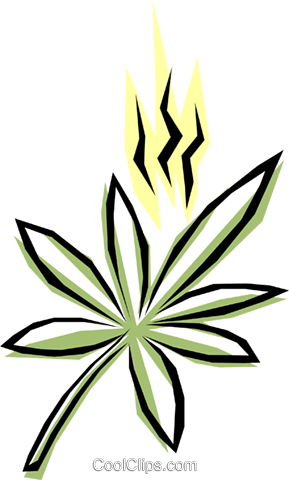 Maconha Livre De Direitos Vetores Clip Art Ilustração (289x480), Png Download
