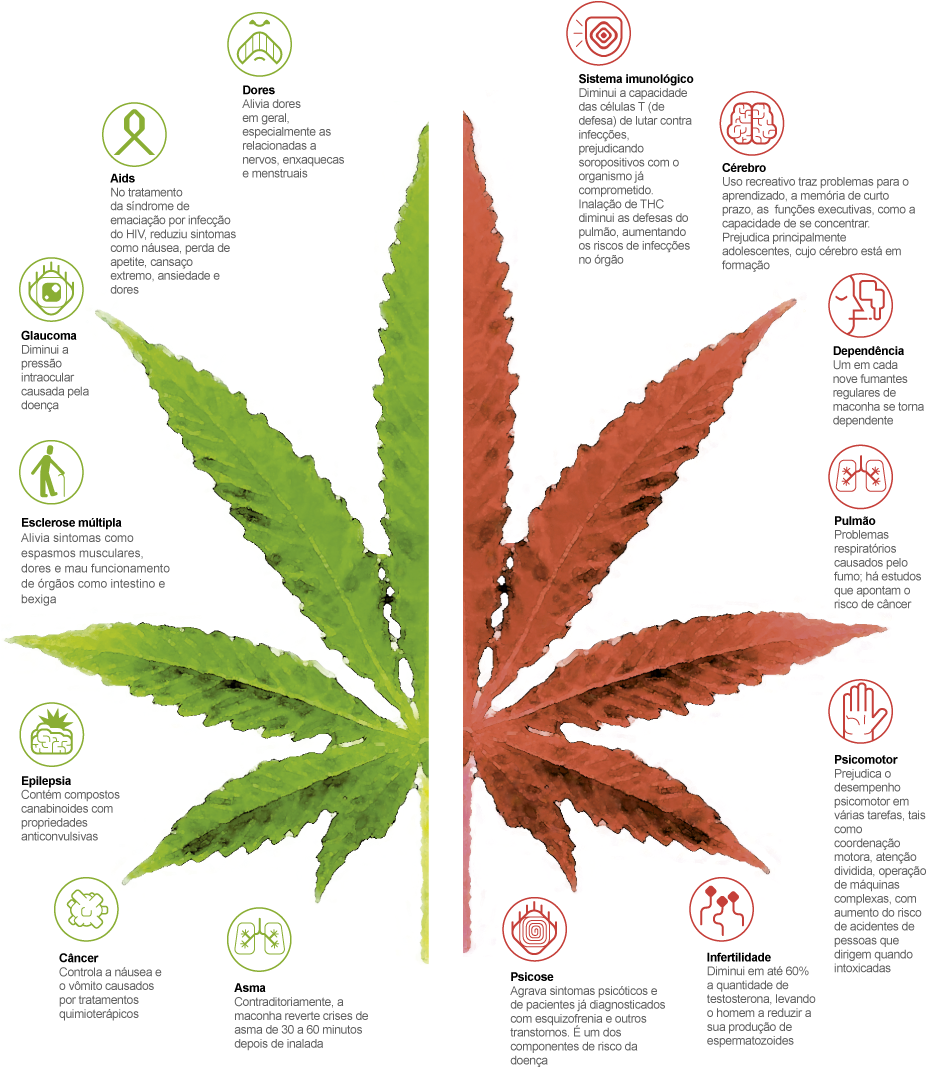 Efeitos Maconha - Canada Marijuana Is Now Legal (940x1107), Png Download
