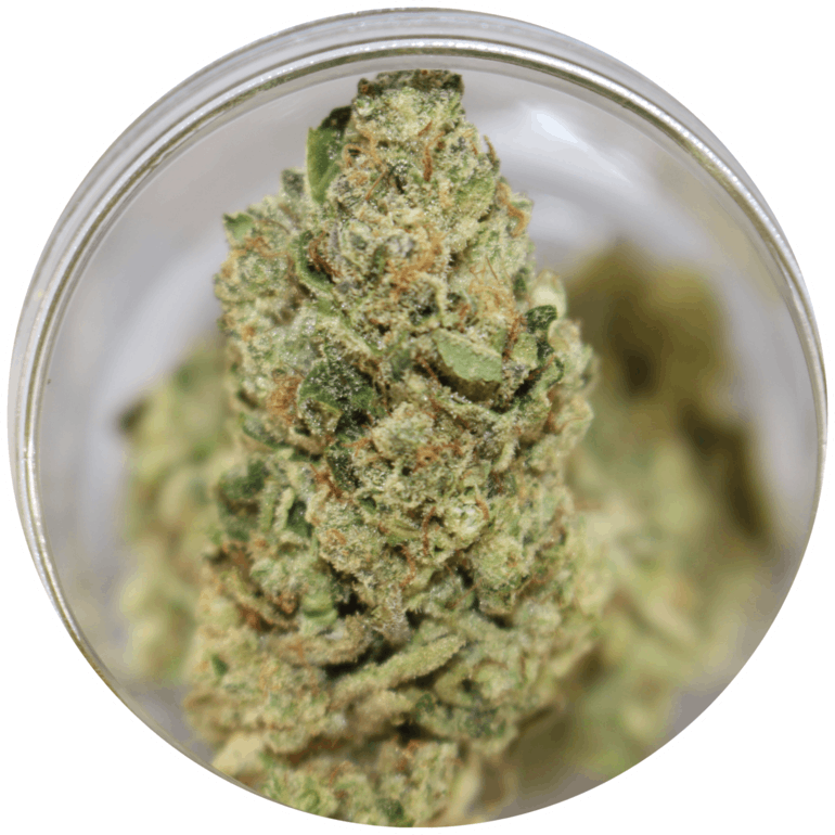 Citrus Kush - Kush (770x770), Png Download