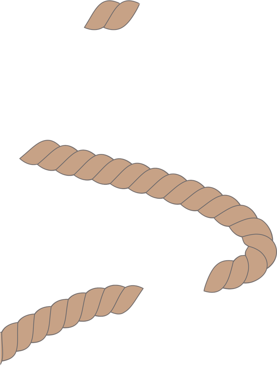 Rope,rope Brush,brown,free Vector Graphics,free Pictures, - Rope (956x1280), Png Download