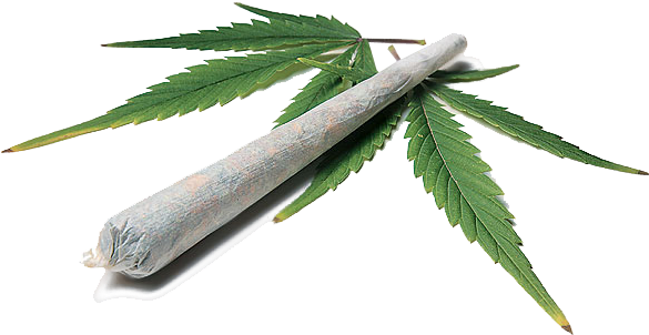 Maconha - Marijuana Cigarette (600x370), Png Download