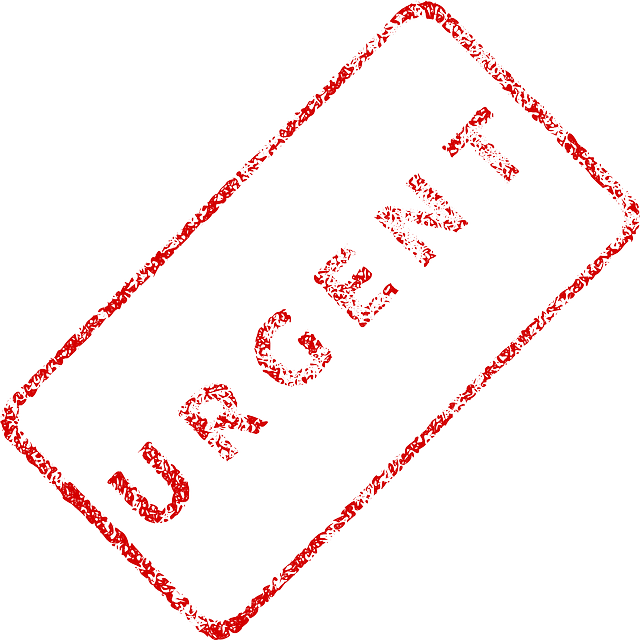 Medidas Fiscales Urgentes 2012 Y - Urgent Png (640x640), Png Download