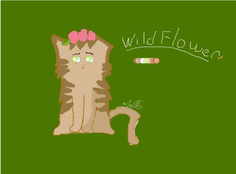 Drawing Wildflower - Squitten (798x740), Png Download
