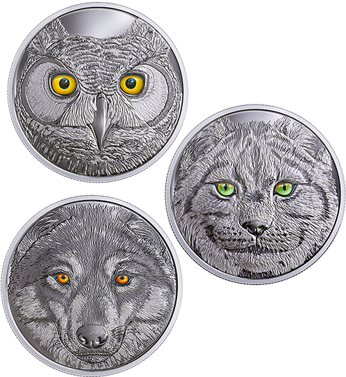 Pure Silver Glow In The Dark 3 Coin Subscription - Diagnostic De La Fonction Comptable Et Financière (570x570), Png Download