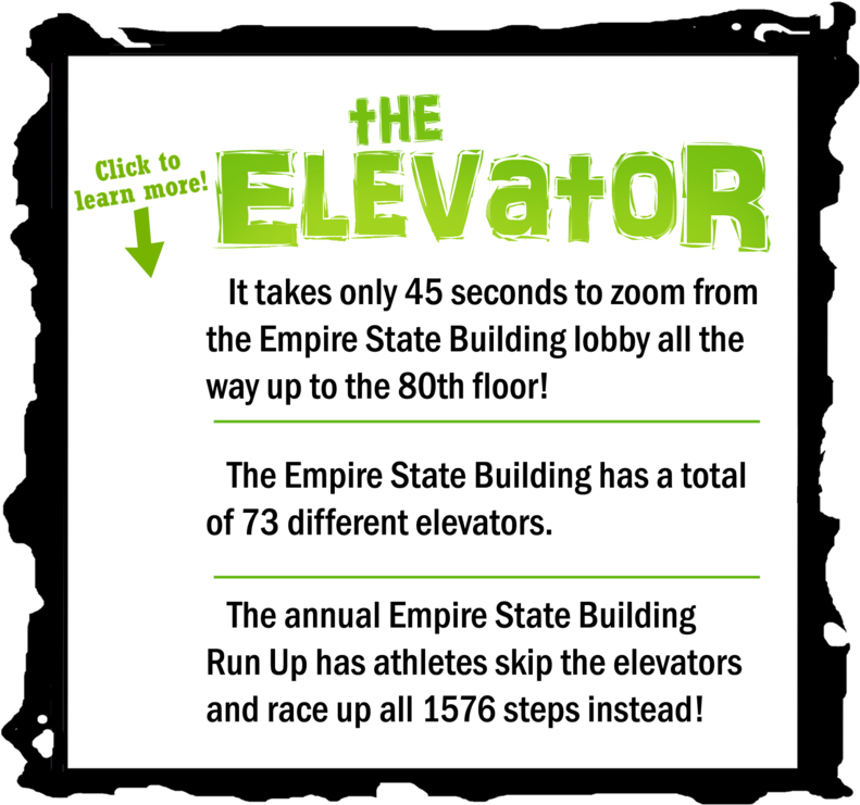 Shop - Number (800x753), Png Download