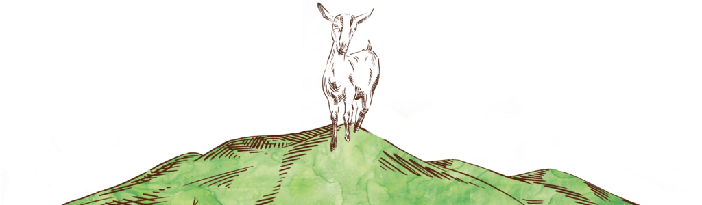 Certified Grass-fed Goat Milk Yogurt - Goat (1024x300), Png Download