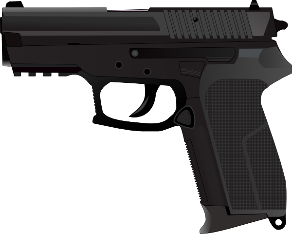 Sig Sauer Sp2022 (600x480), Png Download