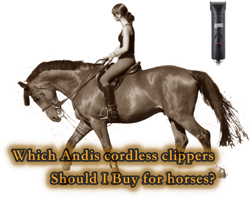 Andis Cordless Clippers For Horses - Person On Horse Png (526x417), Png Download