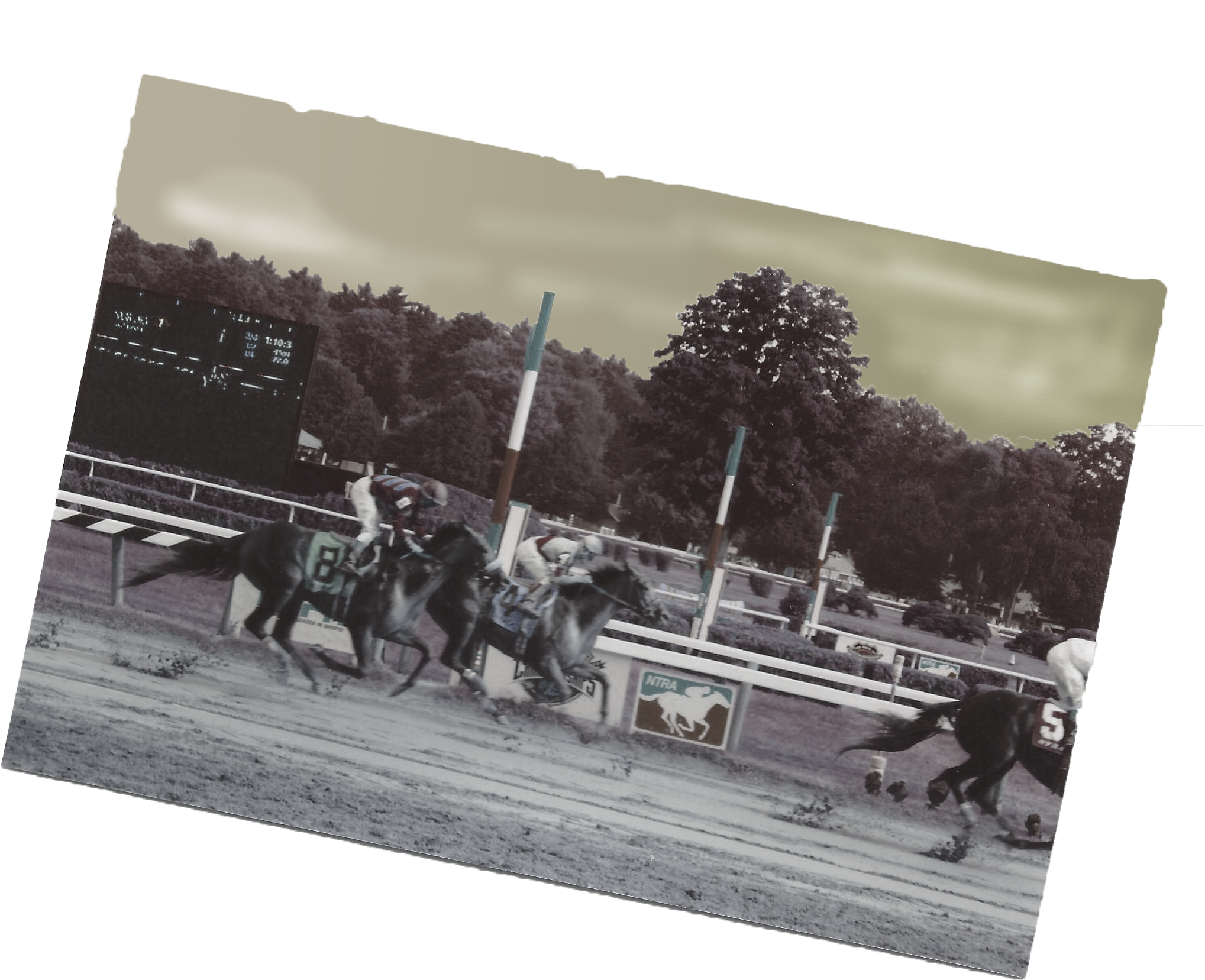 Race-horses - Jockey (2203x1891), Png Download