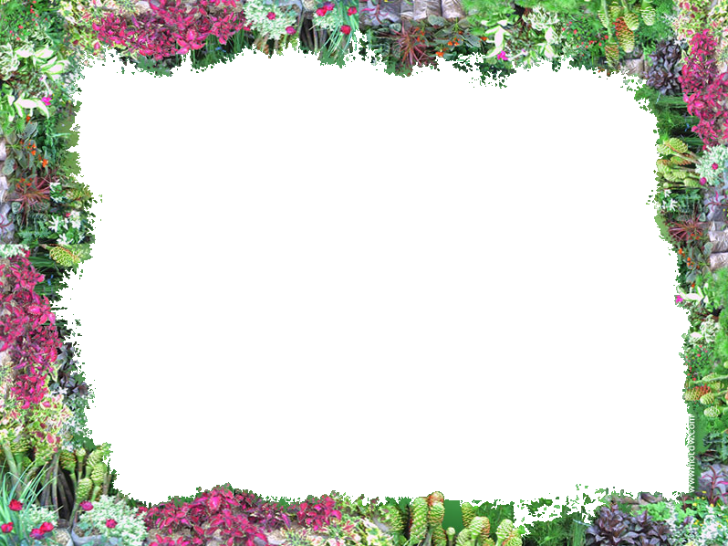 Frame Flower Border Photo By Ebony Storm - Flower Border (798x598), Png Download