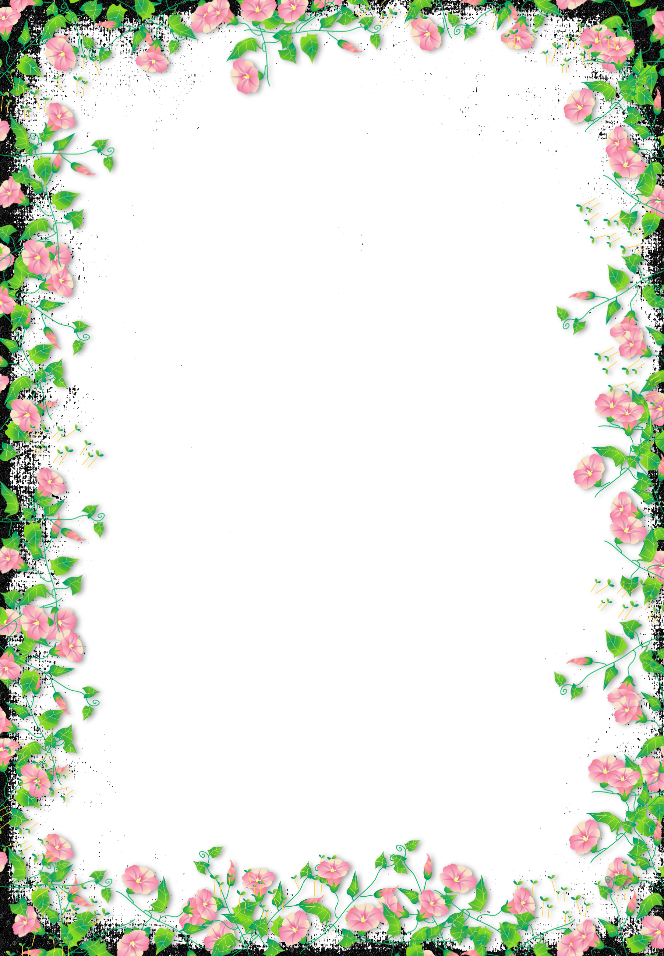 Black Transparent Flower Frame Transparent Floral Frame Png Full Size Png Download Seekpng