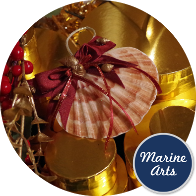 Festive - Seashell (395x395), Png Download