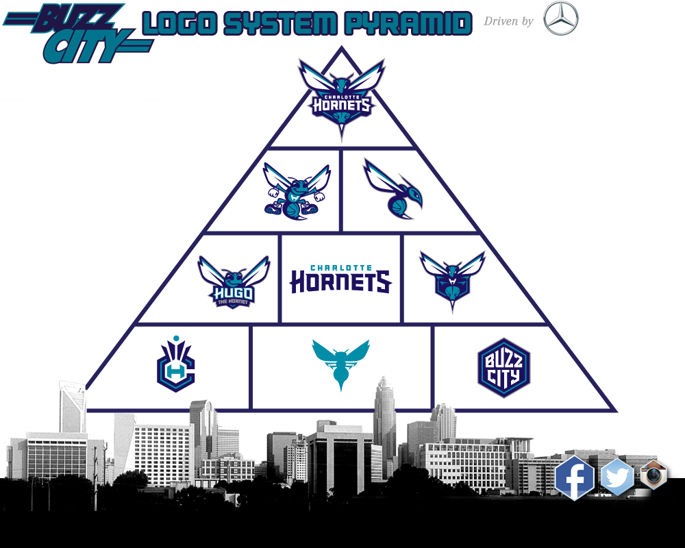 Http - //i - Imgur - Com/ovga9is - Charlotte Hornets Logo Evolution (1000x800), Png Download