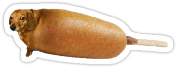 This Beautiful Mashup Between The Gracious Dachsund - Thank You Kanye Very Cool (375x360), Png Download