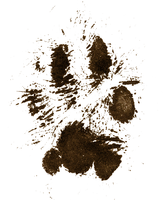 Dog Mud Pawprint - Dog I Had A Good Life (800x800), Png Download