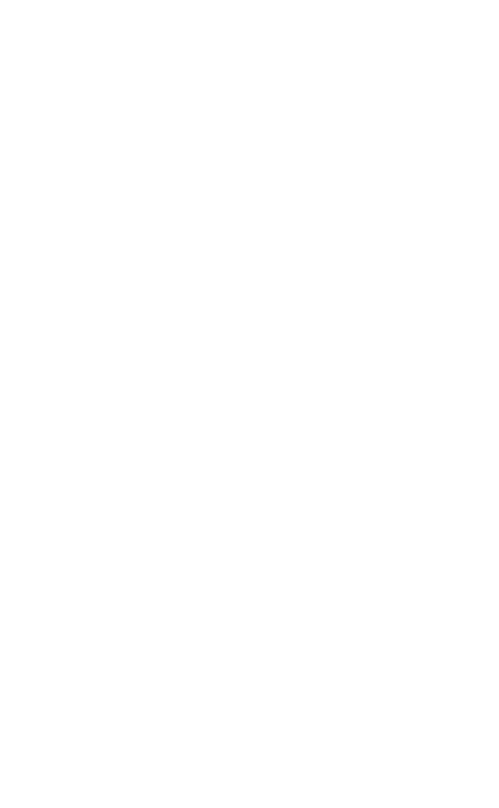 Cargo Capacity - Anvil Aerospace (1696x2748), Png Download