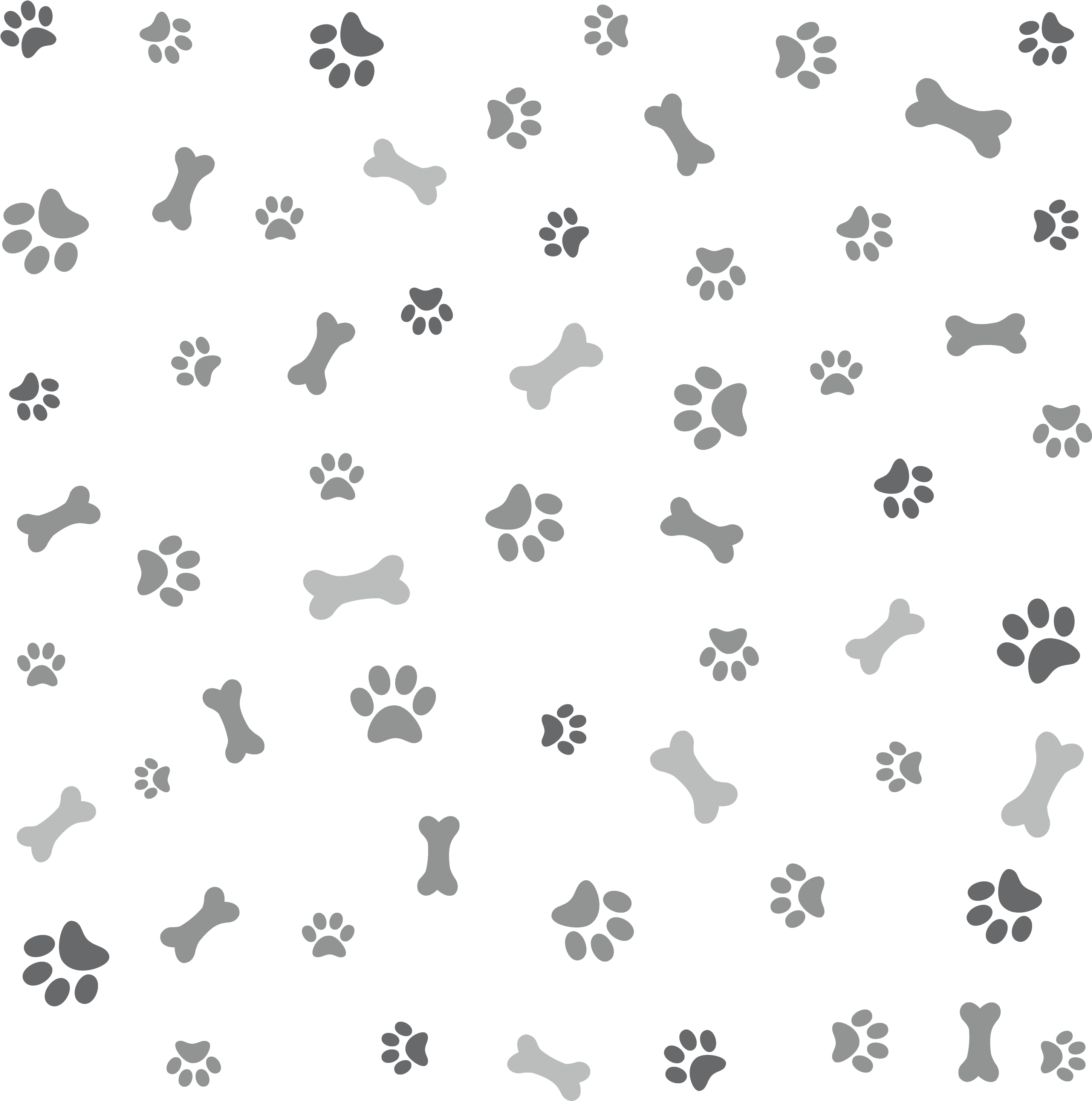 About Us - Dog Paw Background Png (3000x3000), Png Download