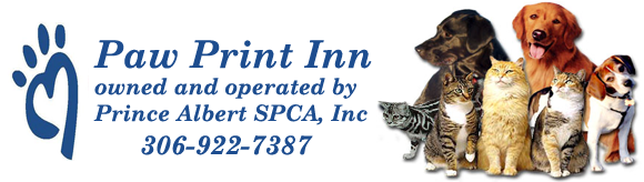 Pet Care (579x223), Png Download