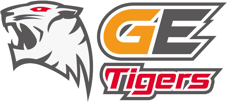 Ge Tigers Logo Version 2 Hd - Tigers (724x724), Png Download