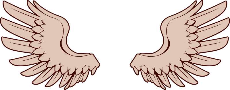 Angel Wings Glowing Angel Wing Clip Art Vector Glowing - Bird Wings Clipart (800x316), Png Download