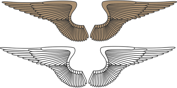 Wings, Angel, Eagle, Angel Wings, Heaven - Kartal Kanat Png (680x340), Png Download