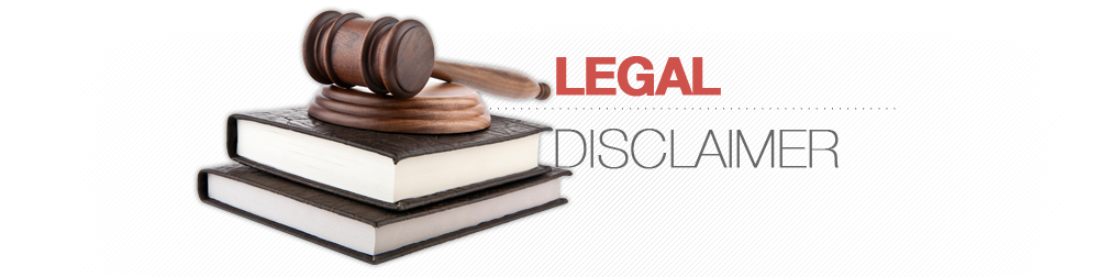 Disclaimer - Finding Your Voice: Straight Talk For Lawyers (1000x252), Png Download