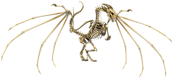 Dragon, Skeleton, Wings, Flying, Fantasy - Skeleton Wings (621x340), Png Download